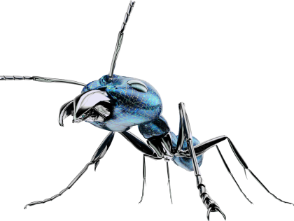 antenna-ant